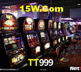 Login Seguro TT999