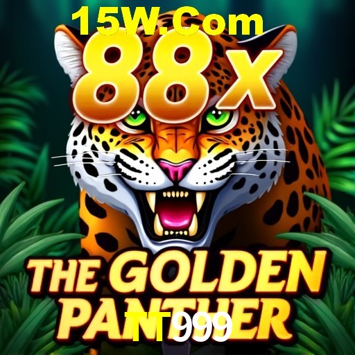 TT999 Curitiba - Live Status